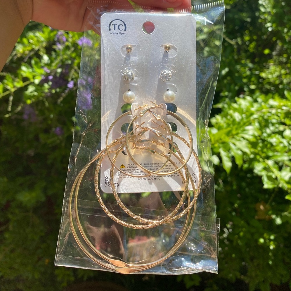 Earrings
